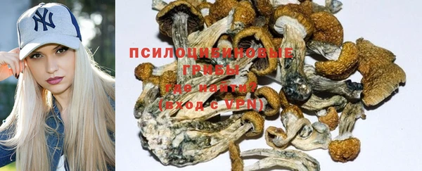 стаф Гусиноозёрск