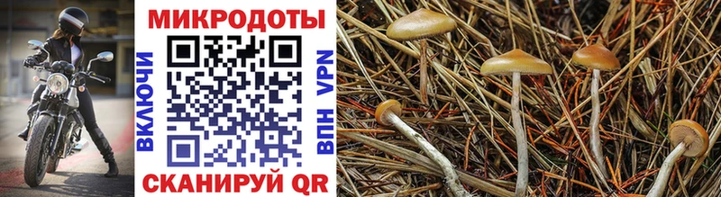 shop наркотические препараты  Сочи  Псилоцибиновые грибы MAGIC MUSHROOMS  kraken онион 